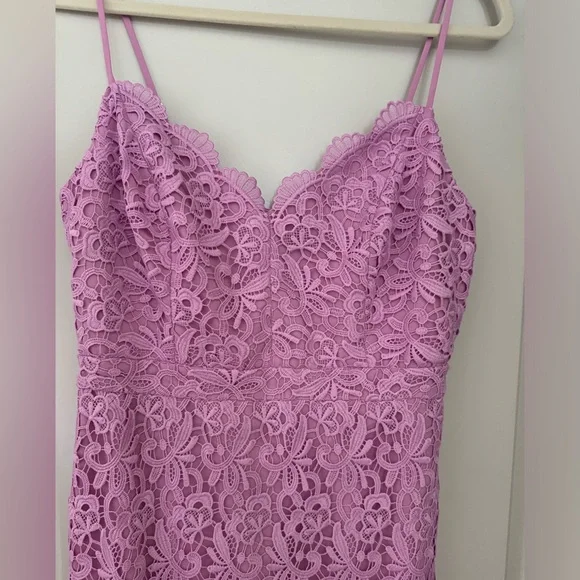 Pink J. Crew Lace Dress- Size 4 - Picture 2 of 7